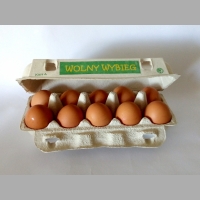 Zdjęcie produktu Opakowania z nadrukiem 10 wiejskich jaj, 50 sztuk